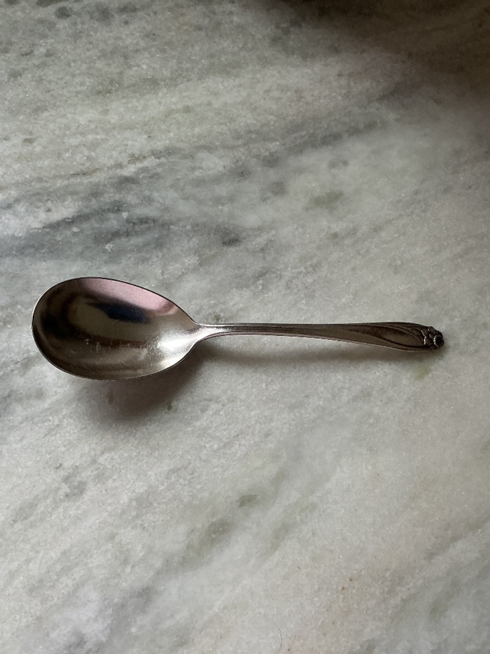 Vintage 1847 Roger’s Bros Daffodil serving spoon